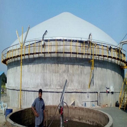 Biogas